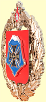 Эмблема Южного военного округа, металлизация